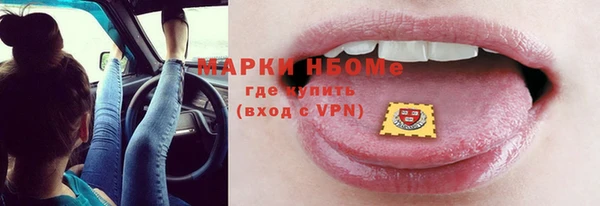 мет Алексин